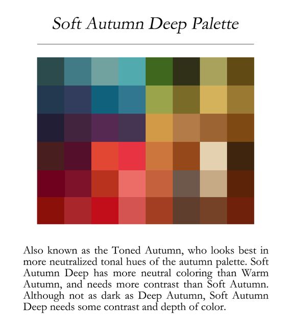 Title at top reads: 'Soft Autumn Deep Palette'. In the middle, colour palette of entire rainbow in soft, warm, and medium-deep hues. Text below the palette reads: 'Also known as the Toned Autumn, who looks best in more neutralized tonal hues of the autumn palette. Soft Autumn Deep has more neutral coloring than Warm Autumn, and needs more contrast than Soft Autumn. Although not as dark as Deep Autumn, Soft Autumn Deep needs some contrast and depth of color.'